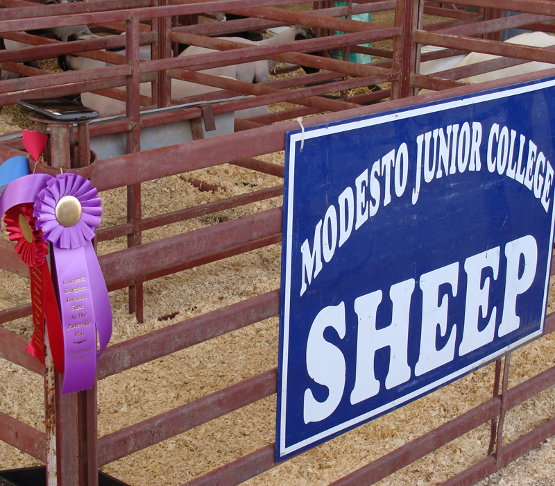 California Collegiate Livestock Show Porterville Fair